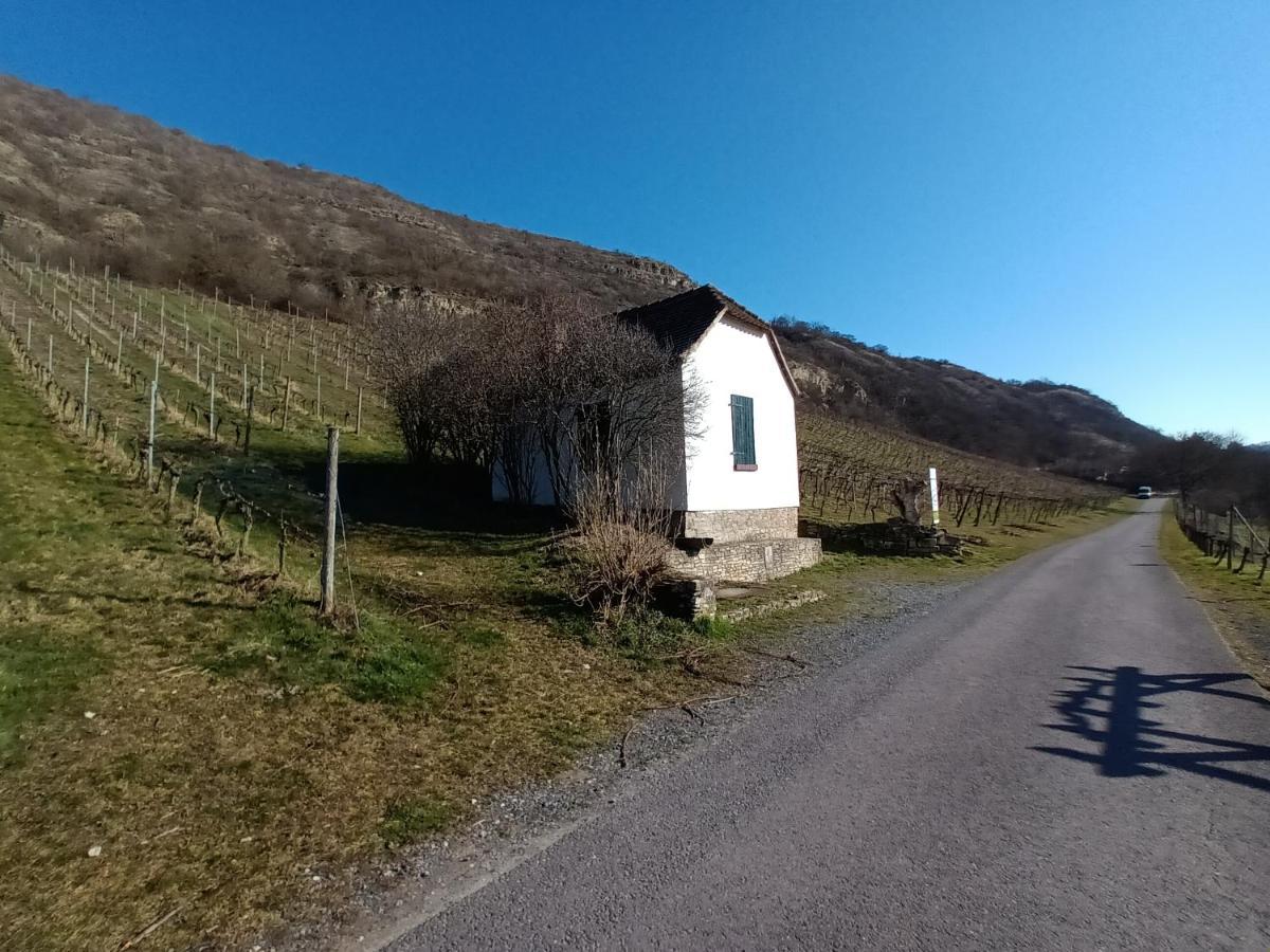 Ferienwohnung Naumburgliebe Наумбург Екстериор снимка